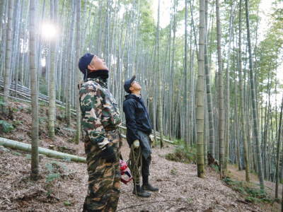幻の白い「長生たけのこ」 徹底管理のたけのこ畑で毎年至高のたけのこを育てる匠(伐採作業2019その2)_a0254656_19020114.jpg