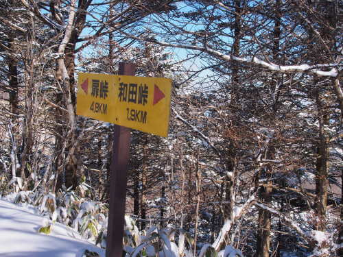 b0335256_12150707.jpg