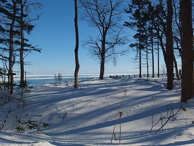 流氷を観にいく_e0004756_19402926.jpg