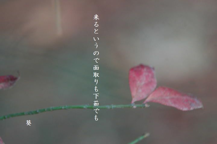 f0379160_16375366.jpg