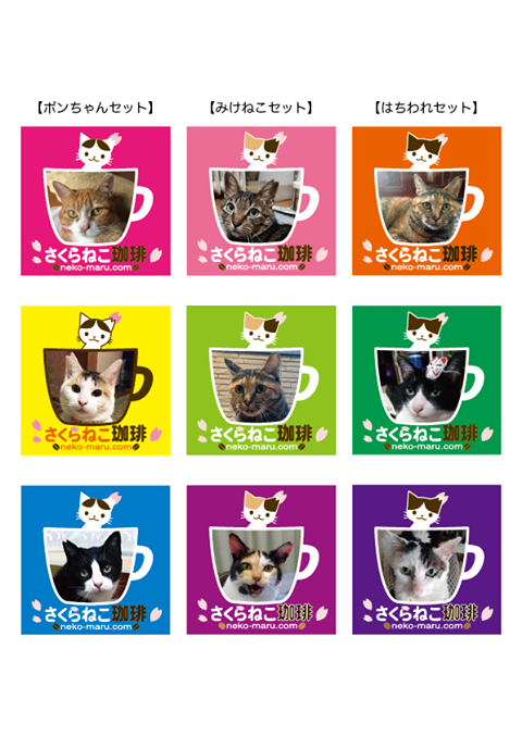 2/22猫の日に向けて、本気でお願いします！_a0246661_14464163.png