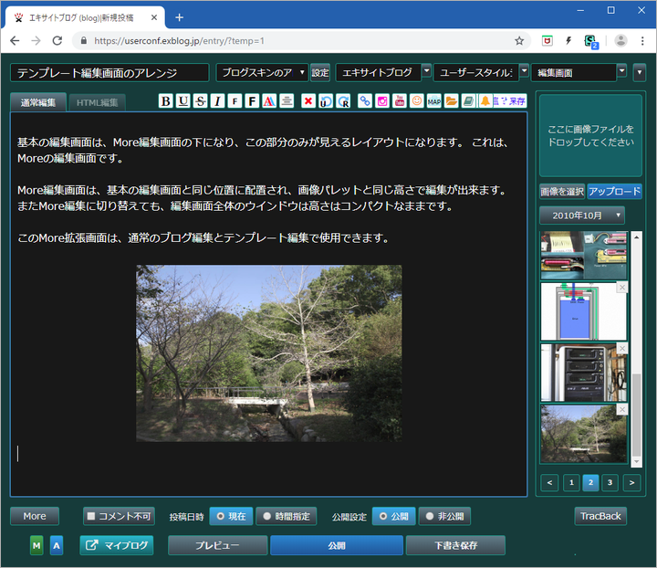 a0349576_20265967.png