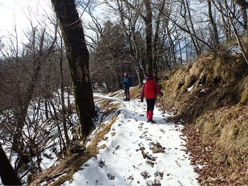 白岩山、向坂山の周回_f0357487_23411292.jpg