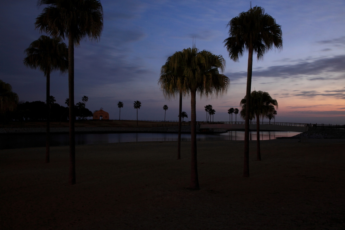 大分県田ノ浦ビーチを撮影2019 1月 優柔不断なａｂ型男の独り言 The Dream Room