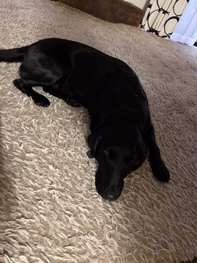 f0242002_16500015.jpeg