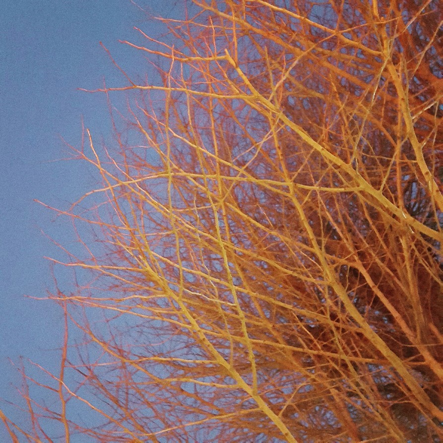 f0182405_19494504.jpg