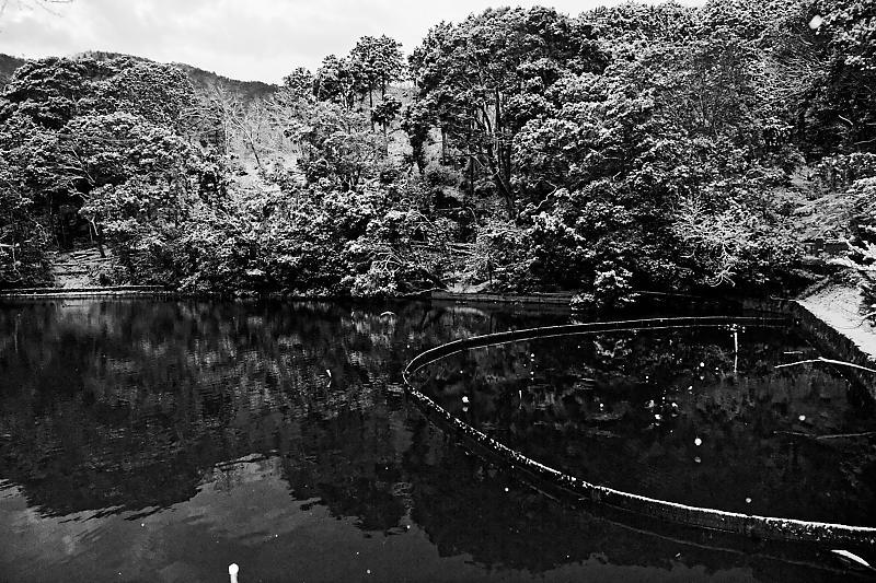 f0032011_19525101.jpg