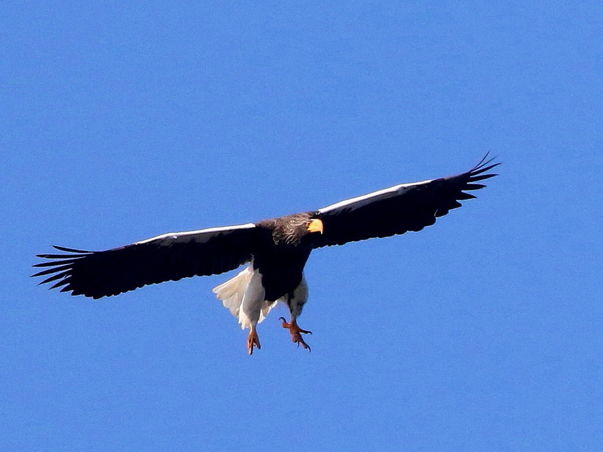 d0346713_20273054.jpg