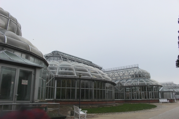 e0116315_08425857.jpg