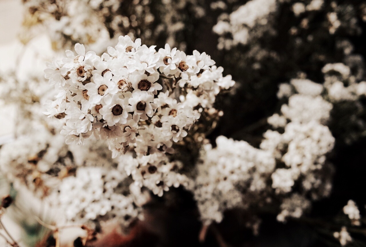 b0241616_09413304.jpeg