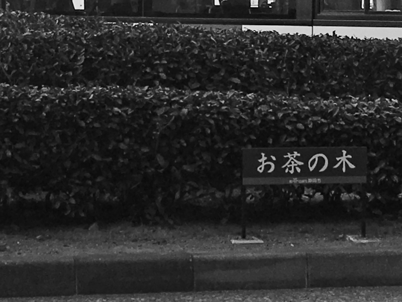 多くのことを教えていただきました_b0220318_17575374.jpg