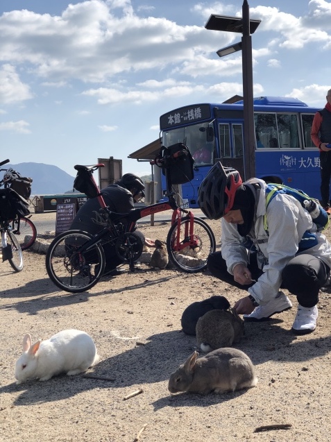 b0360823_20371637.jpeg