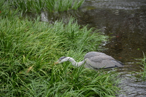 e0335926_20420402.jpg