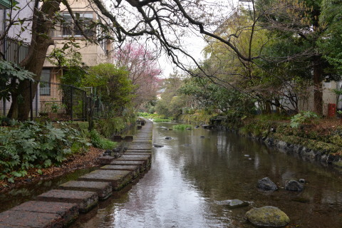 街中がせせらぎの三島_e0335926_20511090.jpg