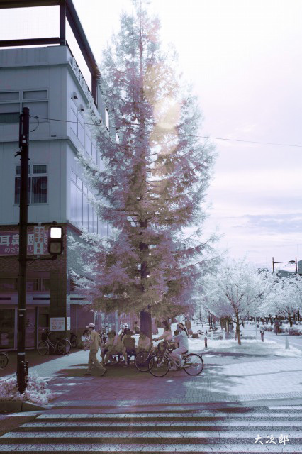 f0186527_20413291.jpg