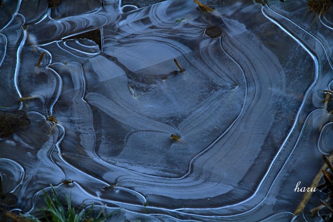 f0297537_13370937.jpg