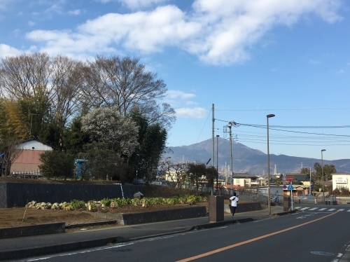 b0330040_05183466.jpeg