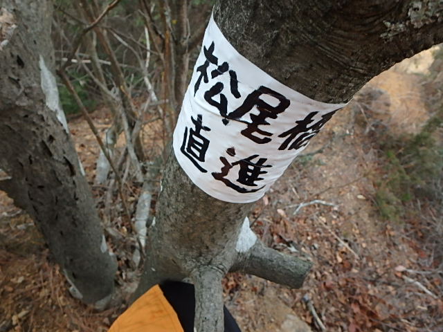 f0334143_12214320.jpg