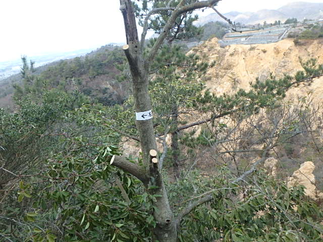 f0334143_12233884.jpg