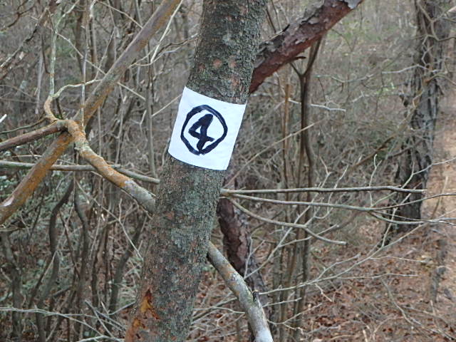 f0334143_1226329.jpg