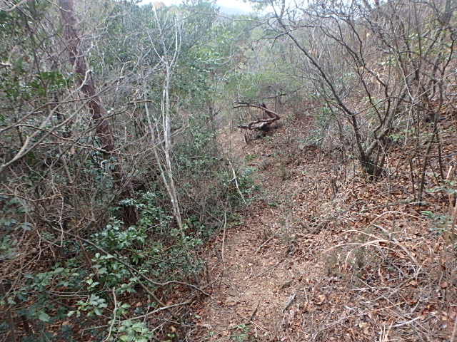 f0334143_12265297.jpg