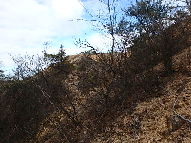 f0334143_12272851.jpg