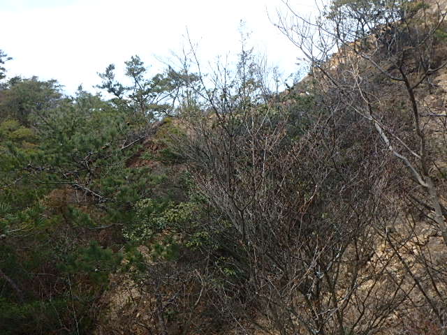f0334143_12273862.jpg