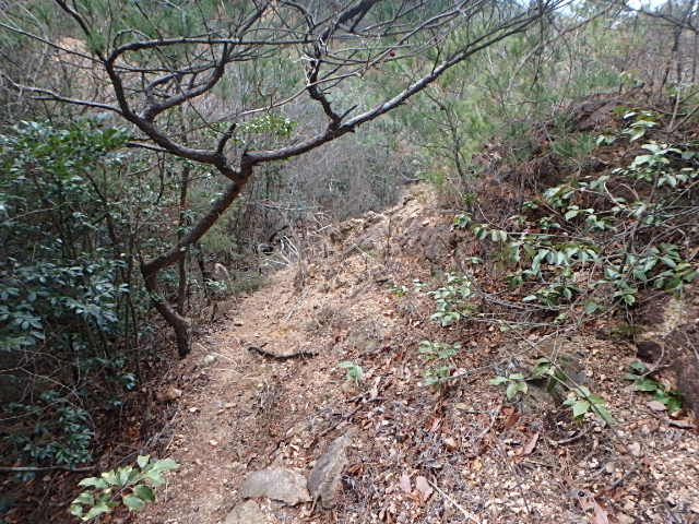 f0334143_122793.jpg