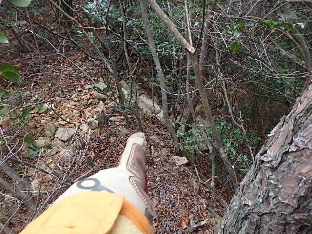 f0334143_12282479.jpg