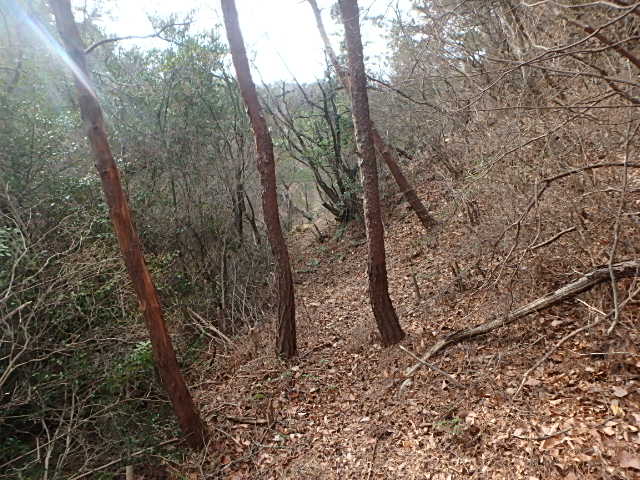 f0334143_12301261.jpg