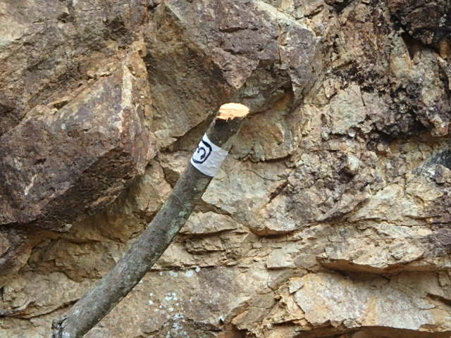 f0334143_12334353.jpg