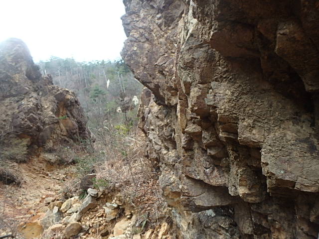 f0334143_12345153.jpg