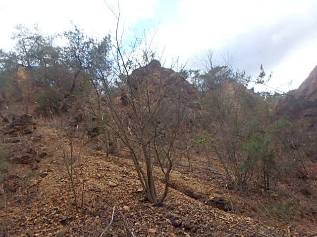 f0334143_12351595.jpg