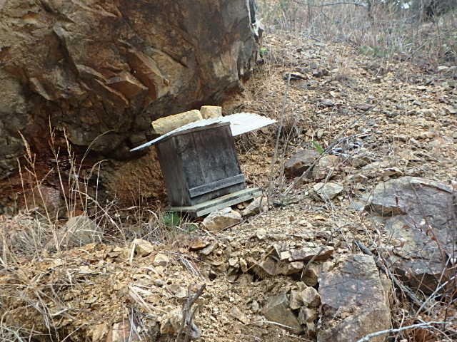 f0334143_1236641.jpg