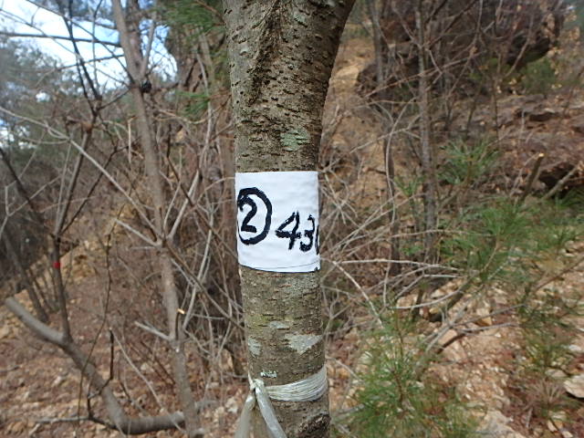 f0334143_12394787.jpg