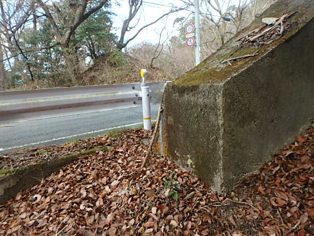 f0334143_12403930.jpg