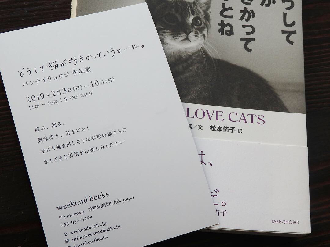 【どうして猫が好きかっていうと…ね。バンナイリョウジ作品展】のお知らせ。_e0060555_10052409.jpg