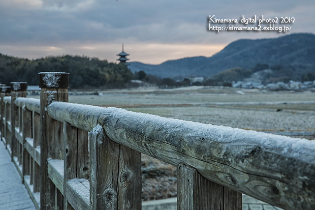 初雪！朝の散歩_f0324756_08222197.jpg