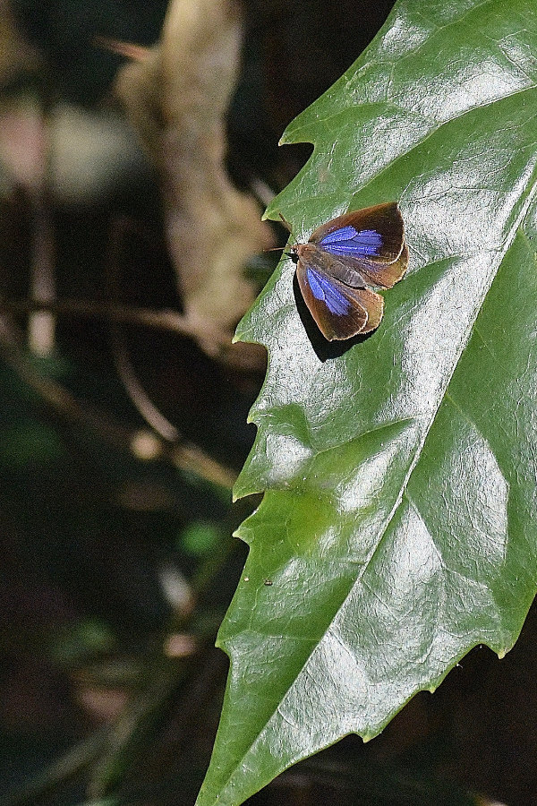 d0387460_00073887.jpg