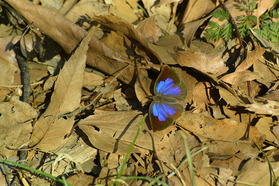 d0387460_00084286.jpg