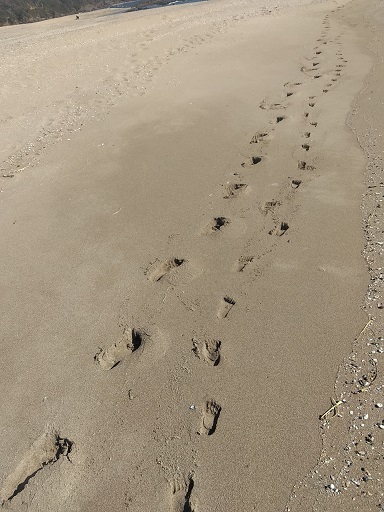 c0172261_10454766.jpg