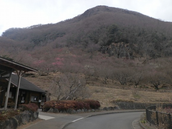 梅の香薫る、湯河原幕岩。_b0050067_07544552.jpg