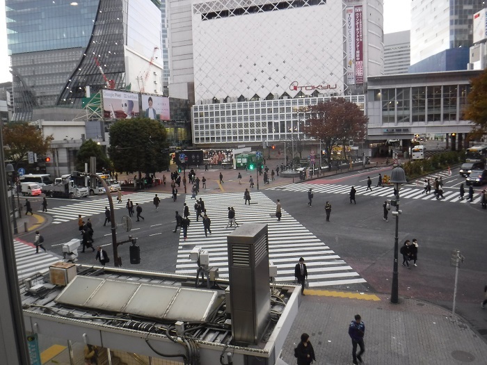 f0238779_16514008.jpg