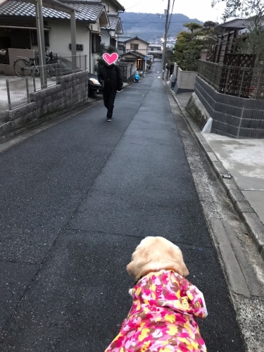 f0315081_22121916.jpeg