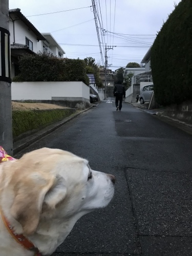 f0315081_22125568.jpeg
