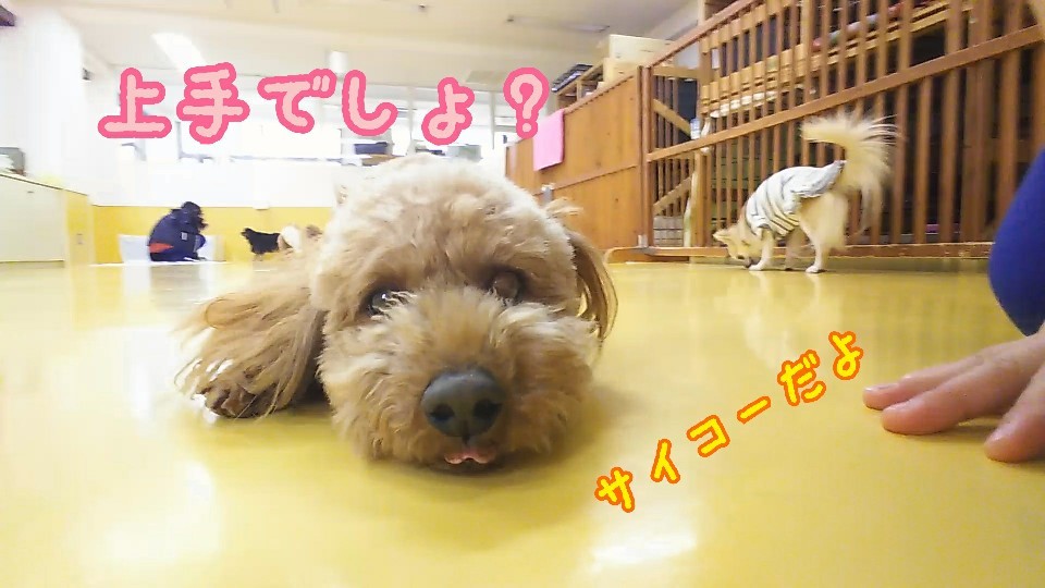 げんきげんき~😃🎵_f0357682_12290686.jpg