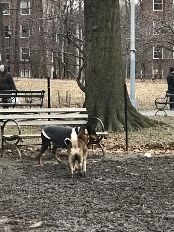 c0253487_03474604.jpeg