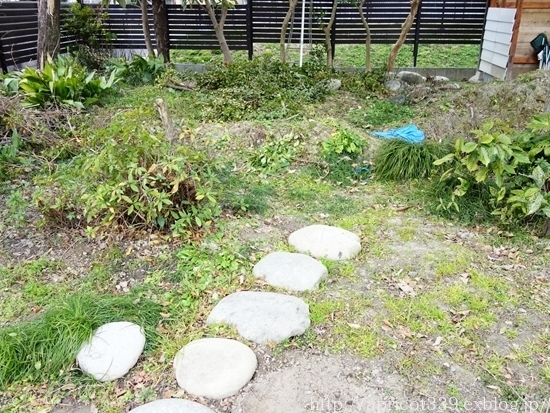 今年やりたい庭しごとと、モチベーションの保ち方_c0293787_12021787.jpg