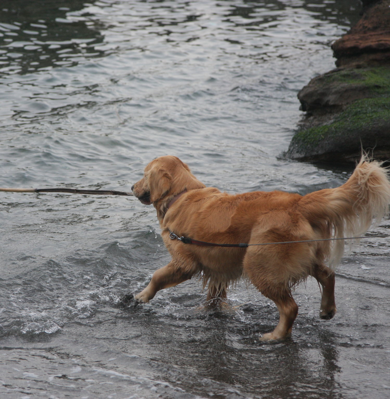 2度目の観音崎公園♪_b0275998_11035276.jpg