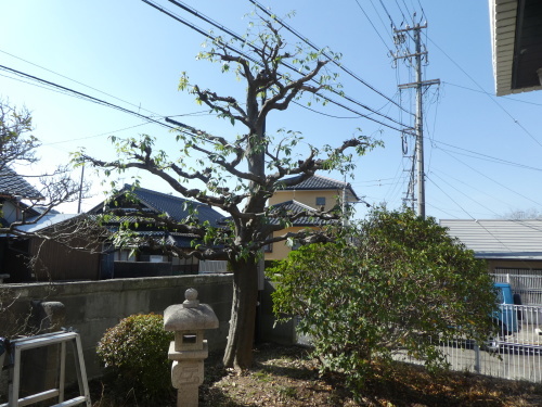c0108198_16143657.jpg